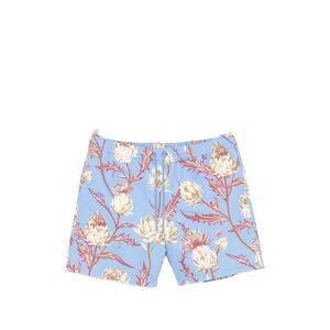 Loewe Paula's Ibiza Men Printed Swim Shorts
